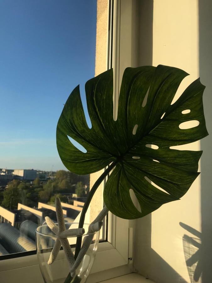 Good Morning Gdynia公寓 外观 照片